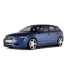 A3