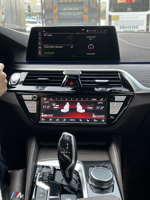 Панель управления климатом для BMW X3 2018-2021, X4 2019-2021, 5 series 2018-2022, 6 series 2017-2021  - Carmedia ZF-2025