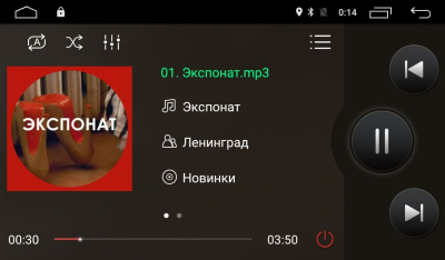 Штатная магнитола Ownice G30 S9903J для Volkswagen Polo (Android 9.0)